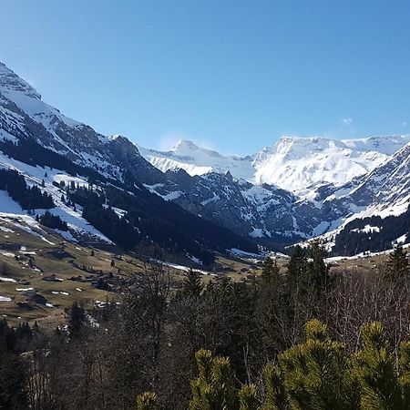 Hotel Crystal Adelboden Zewnętrze zdjęcie