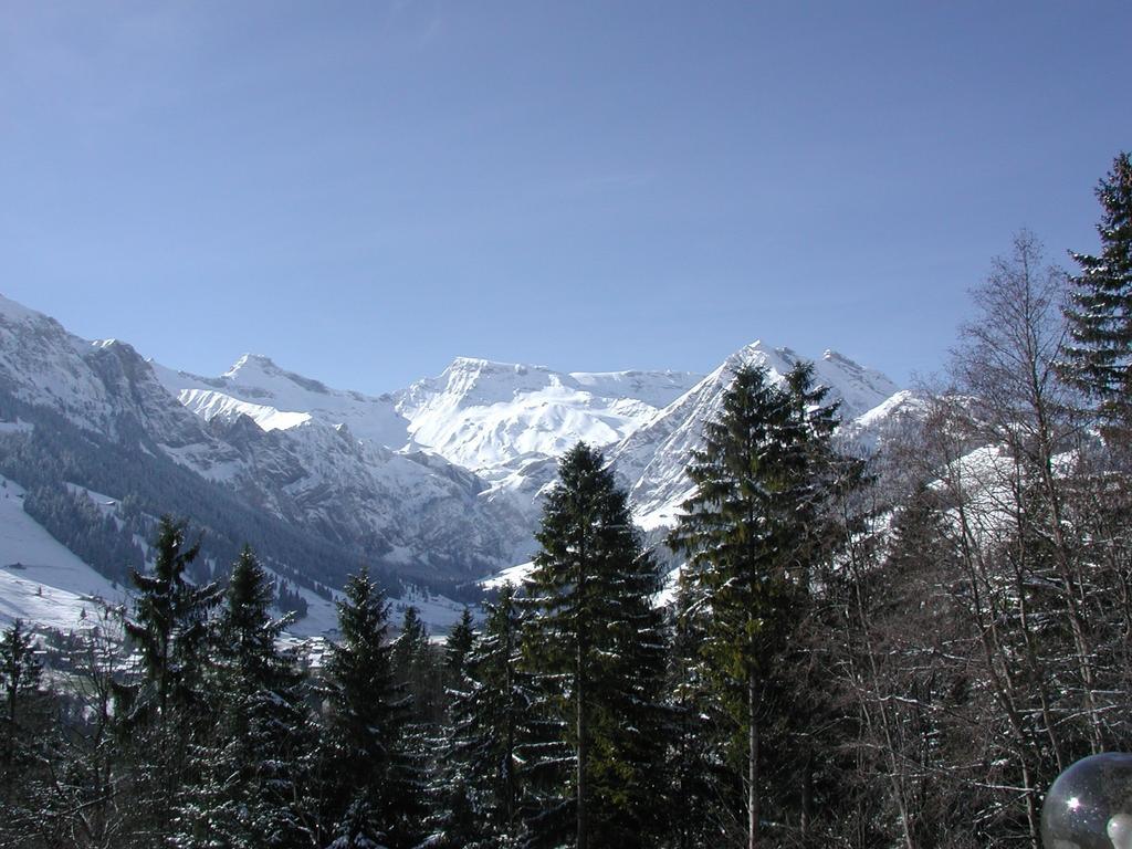 Hotel Crystal Adelboden Zewnętrze zdjęcie