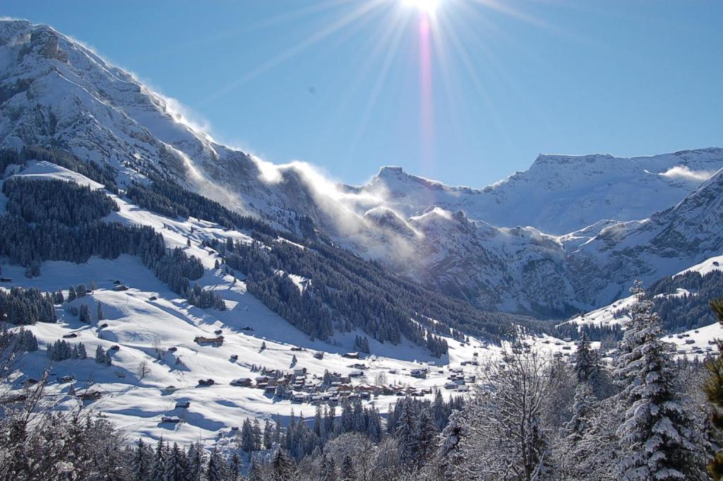 Hotel Crystal Adelboden Pokój zdjęcie