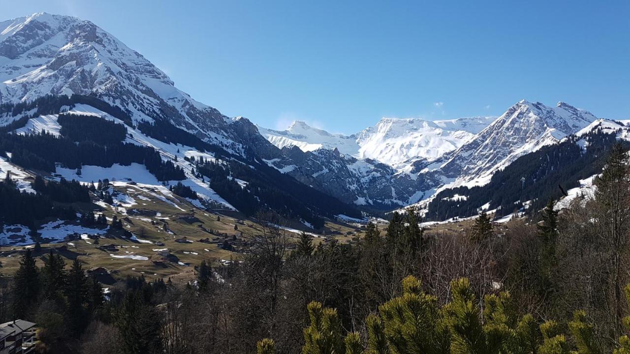 Hotel Crystal Adelboden Zewnętrze zdjęcie