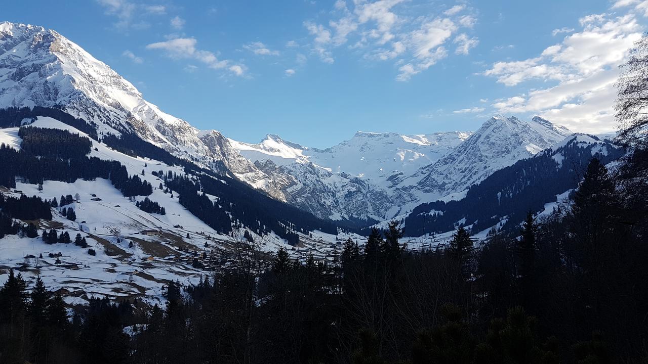 Hotel Crystal Adelboden Zewnętrze zdjęcie